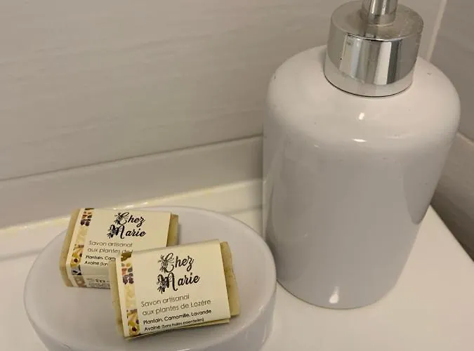 Hébergement de vacances Chez Marie Albaret-Sainte-Marie